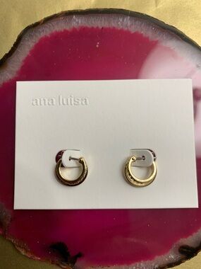 ana luisa Gold Mini Hoop Earrings